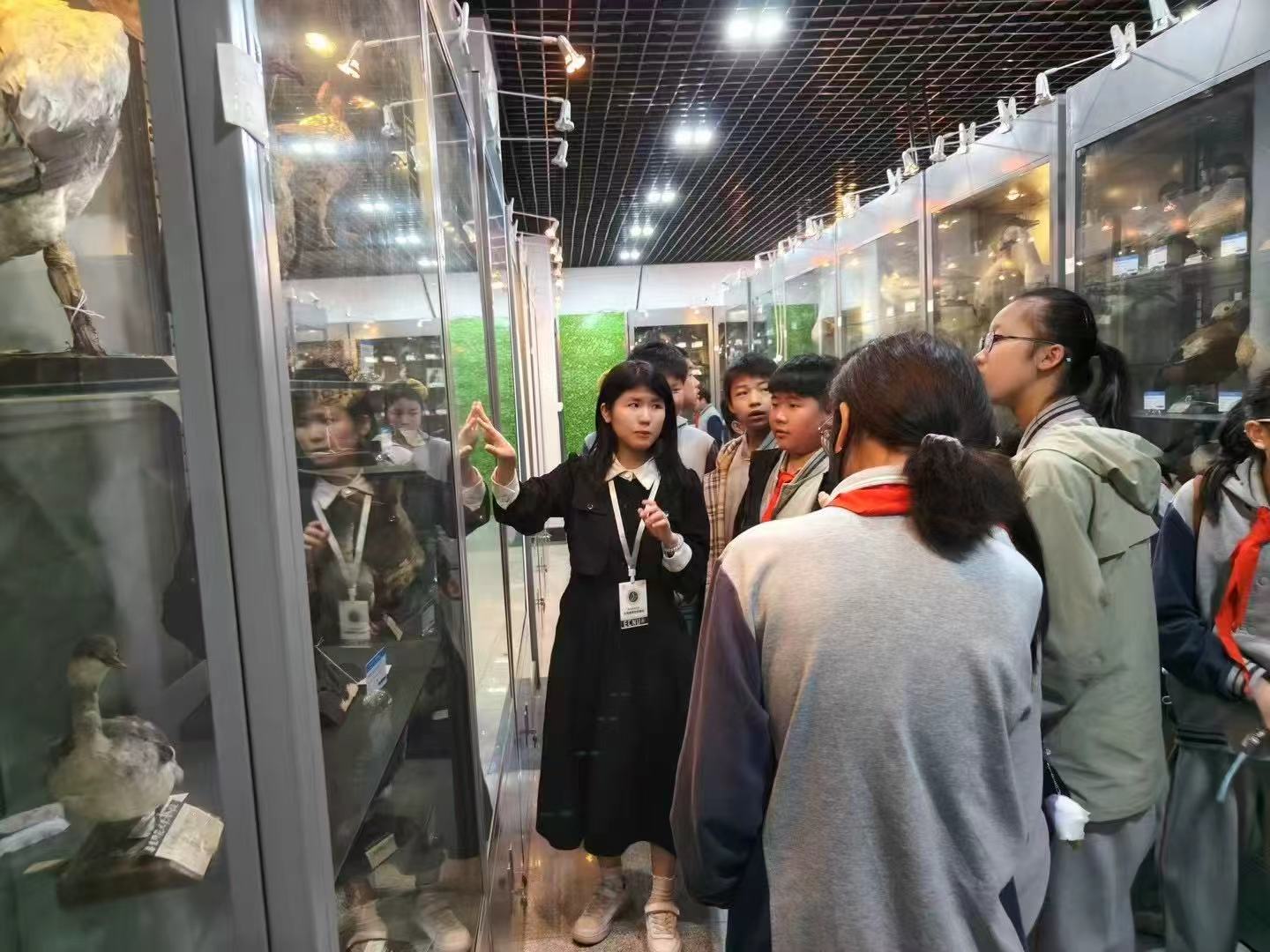 华二附初学生到华师大生物博物馆研学.jpg 华二附初学生到华师大生物博物馆研学.jpg